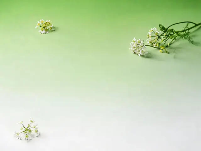 中餐热菜 02