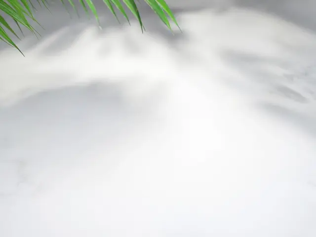 纯色底 09