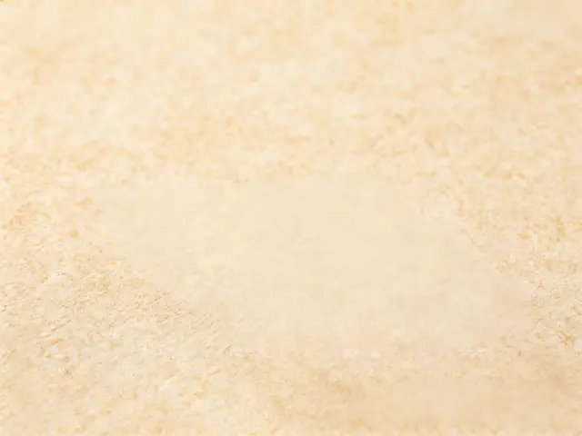 纯色底 12